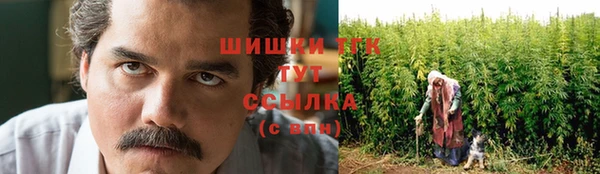 мескалин Арсеньев