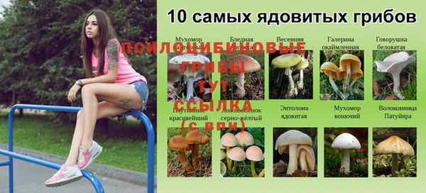 мескалин Арсеньев
